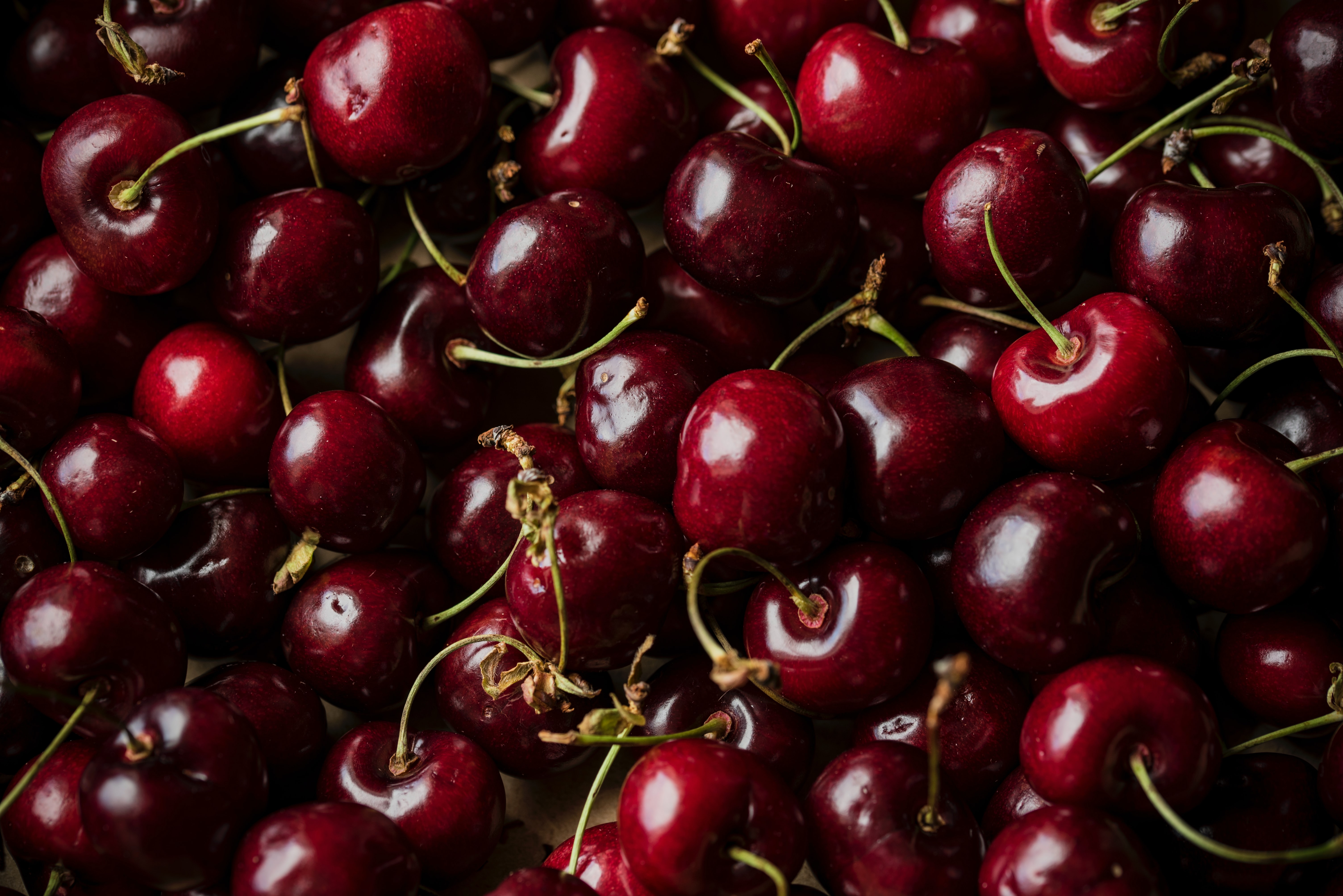 Cereza chilena enfrenta desafíos en exportaciones y calidad en temporada 2025/26
