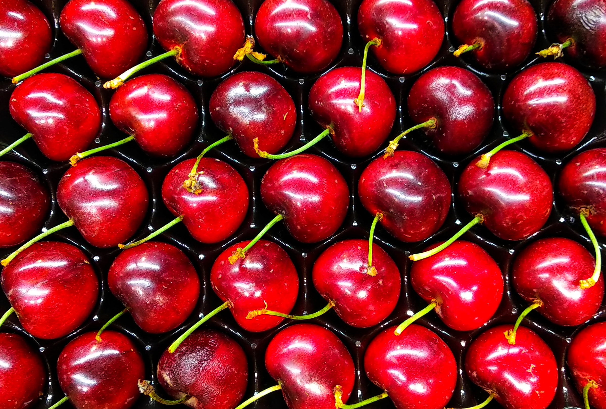 Lluvia y rajado en cereza: decidir cosecha con evidencia local
