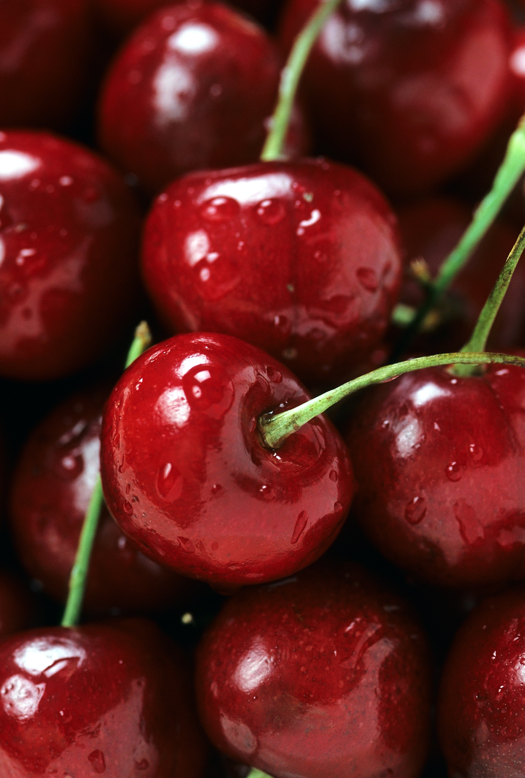 Incremento en exportaciones de cerezas argentinas a China y Estados Unidos en 2026