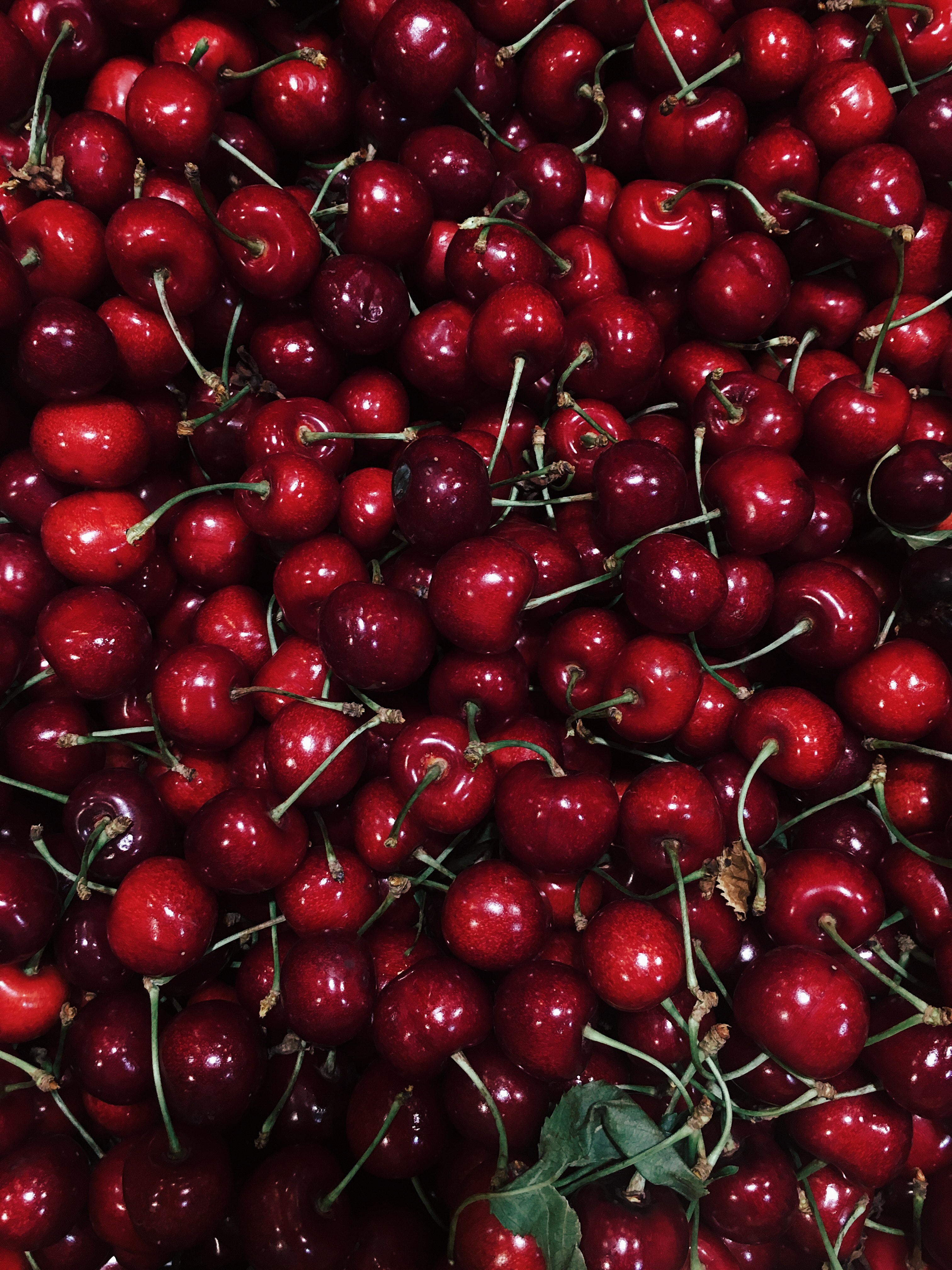 Variedades de cereza en O’Higgins: calibre, ventana y expectativa comercial