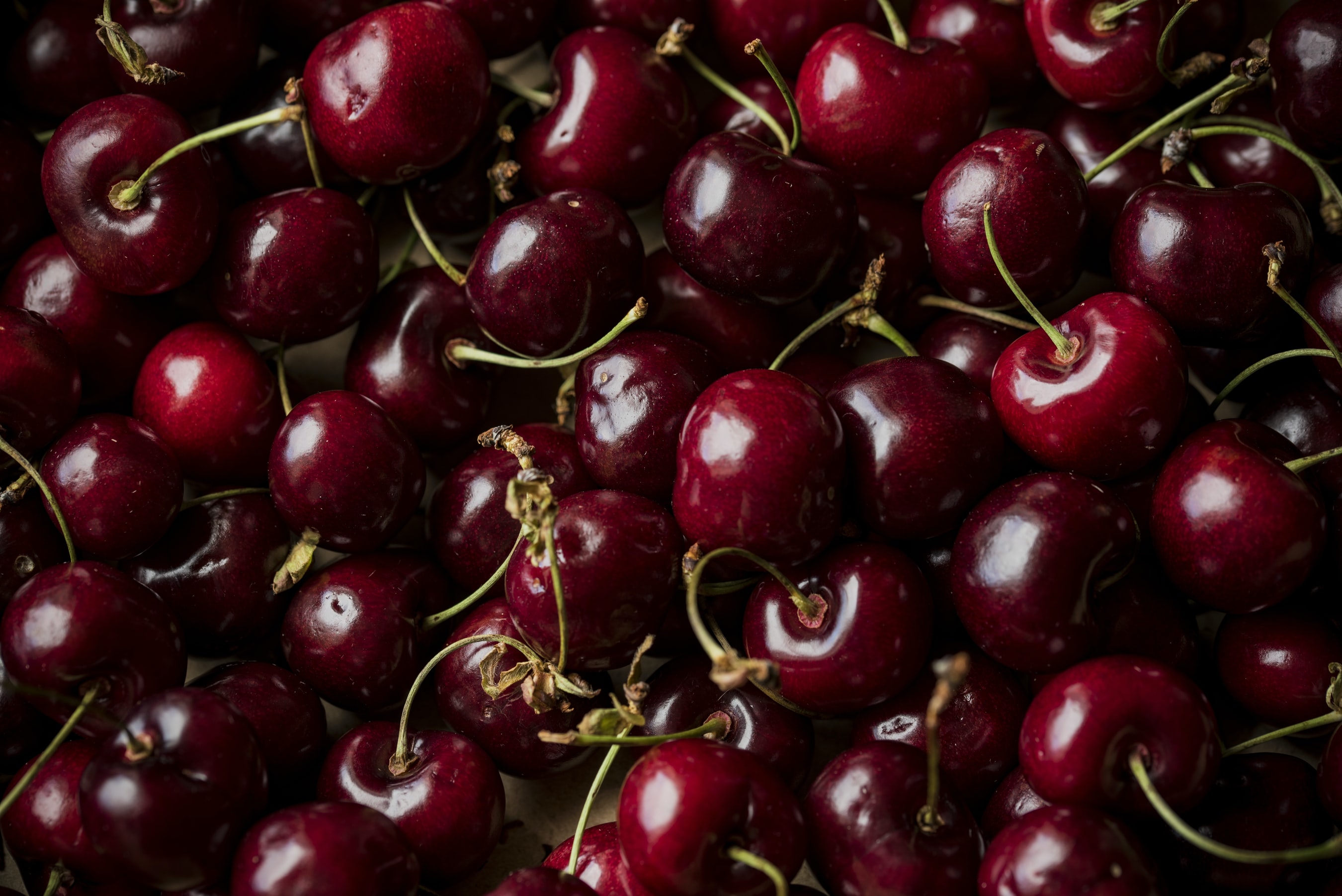 Temporada de cerezas 2025-2026: caída de precios y reconfiguración de mercados