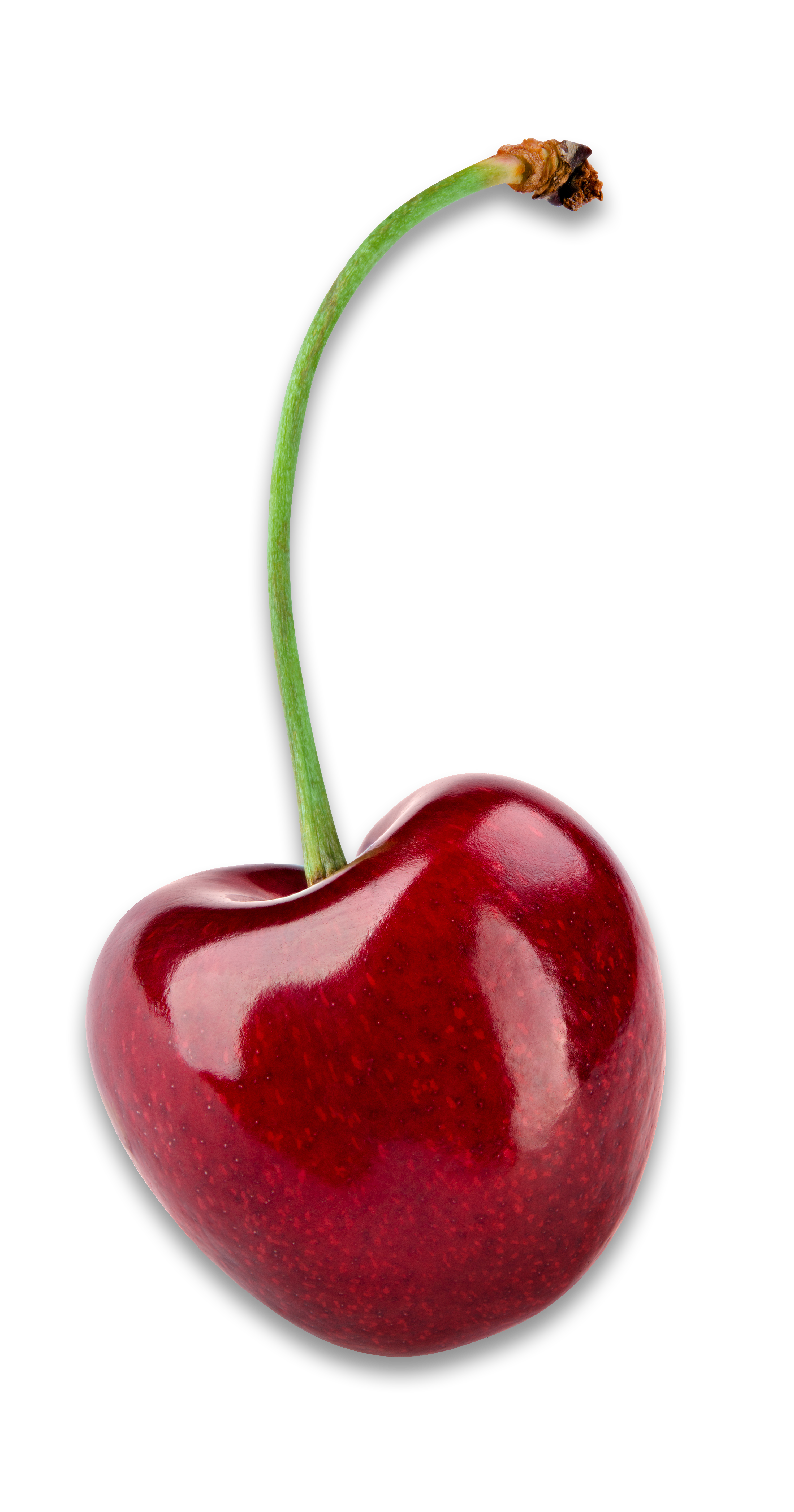 Mercados: Pronóstico de producción y precios de cerezas en EE.UU. para la temporada 2026