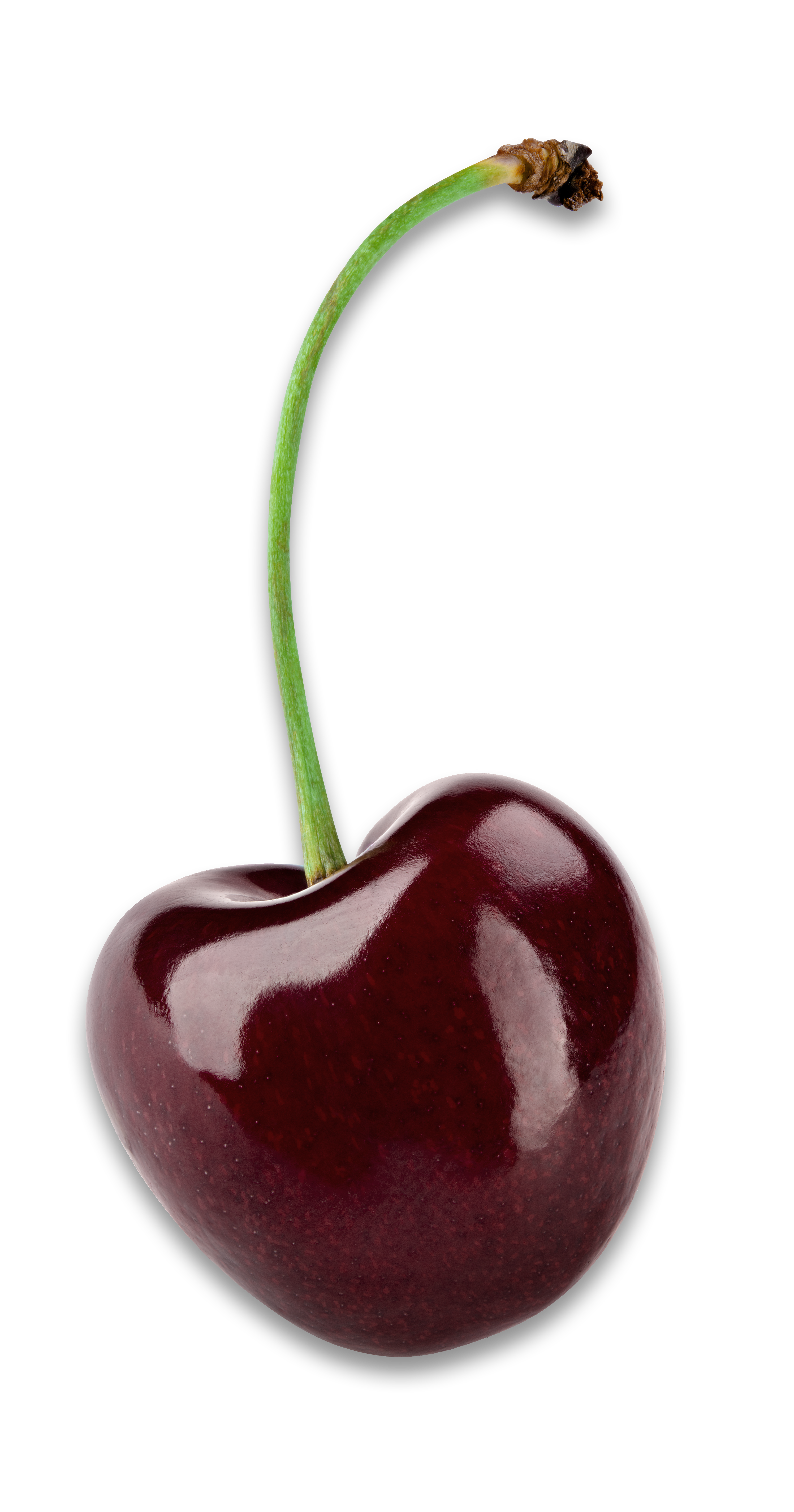 Mercados: Estimaciones de producción de cerezas en EE.UU. para 2026: un análisis detallado